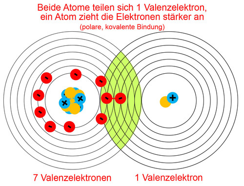 Polare kovalente Bindung
